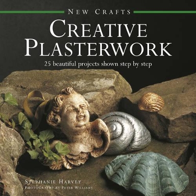 New Crafts: Creative Plasterwork book