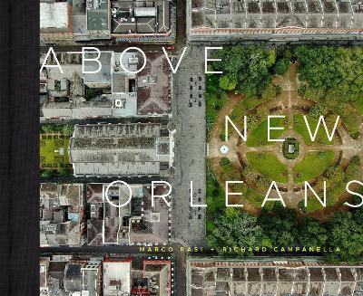 Above New Orleans: Roofscapes of the Crescent City book