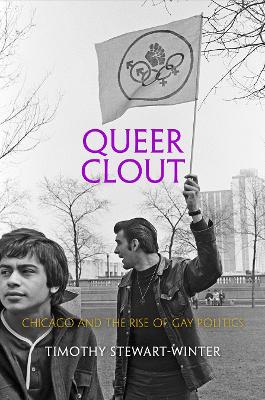 Queer Clout book