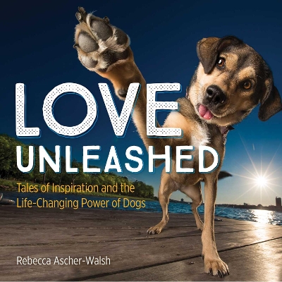 Love Unleashed book