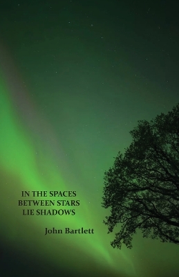 In the Spaces Between Stars Lie Shadows book