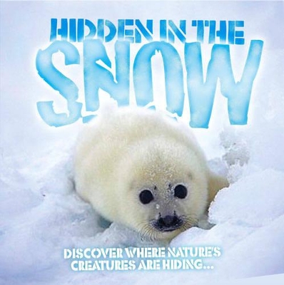 Hidden in the Snow by Barbara Taylor