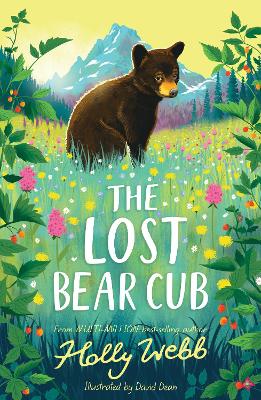The Lost Bear Cub book