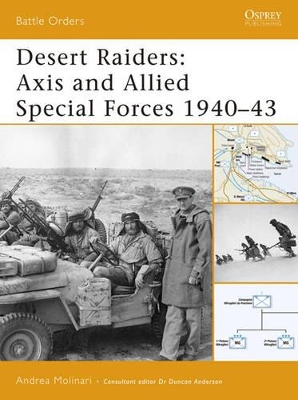 Desert Raiders: Axis and Allied Special Forces 1940–43 book