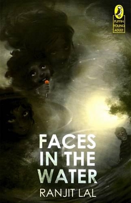 Faces in the Water book