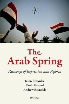 Arab Spring book