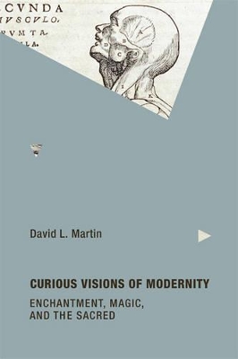 Curious Visions of Modernity by David L. Martin