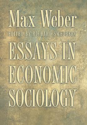 Essays in Economic Sociology book