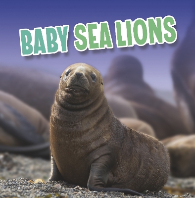 Baby Sea Lions by Martha E H Rustad
