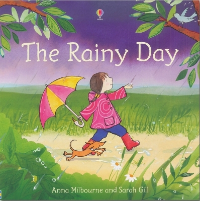 Rainy Day book