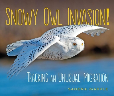 Snowy Owl Invasion! book
