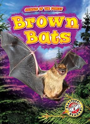 Brown Bats book