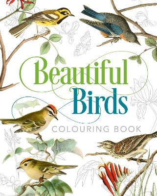 Beautiful Birds Colouring Book book