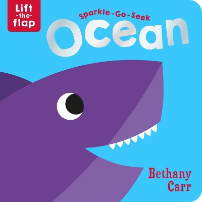 Sparkle-Go-Seek Ocean book