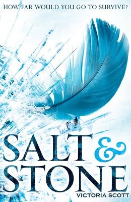 Salt & Stone book