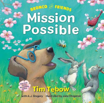 Bronco and Friends: Mission Possible book