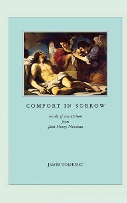Comfort in Sorrow book