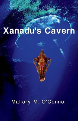 Xanadu's Cavern book