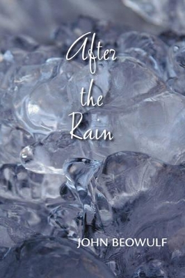 After the Rain book