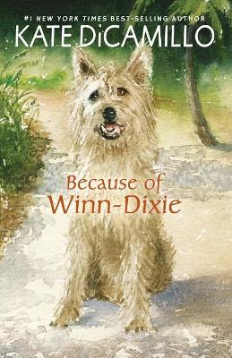 Because of Winn-Dixie book