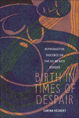 Birth in Times of Despair: Reproductive Violence on the US-Mexico Border by Carina Heckert