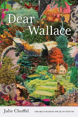 Dear Wallace book