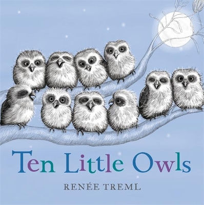 Ten Little Owls book