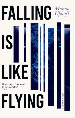 Falling is Like Flying book