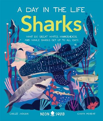 Sharks (A Day in the Life): What Do Great Whites, Hammerheads, and Whale Sharks Get Up To All Day? book