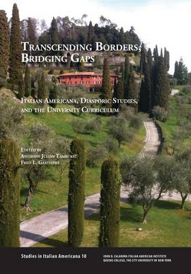 Transcending Borders, Bridging Gaps book