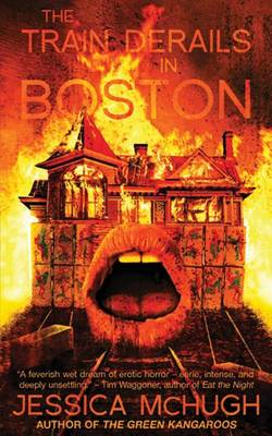 The Train Derails in Boston book