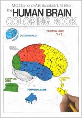 Human Brain Coloring Book book