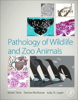 Pathology of Wildlife and Zoo Animals by Karen A. Terio