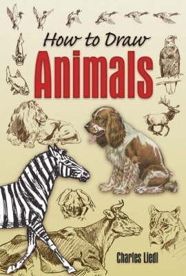 How to Draw Animals book