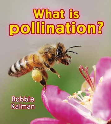What is pollination? book