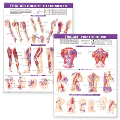 Trigger Point Chart Set: Torso & Extremities Paper book