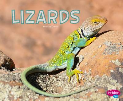 Lizards book