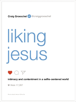 Liking Jesus book