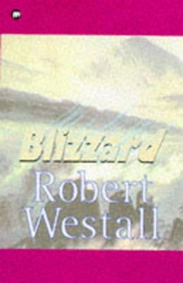 Blizzard book