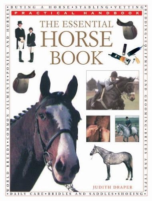 Essential Horse Book book