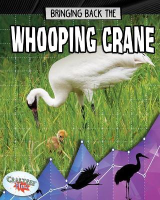 Bringing Back the Whooping Crane by Rachel Stuckey