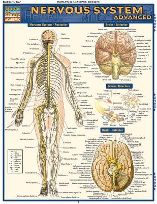 Nervous System Advanced book