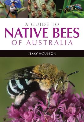 A Guide to Native Bees of Australia book