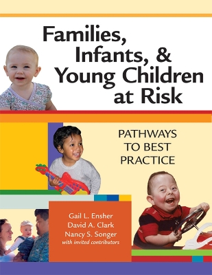 Families, Infants and Young Children at Risk book