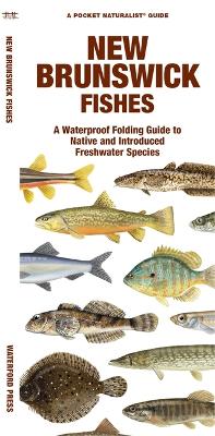 New Brunswick Fishes: A Folding Guide to Native and Introduced Freshwater Species book