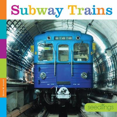 Subway Trains book