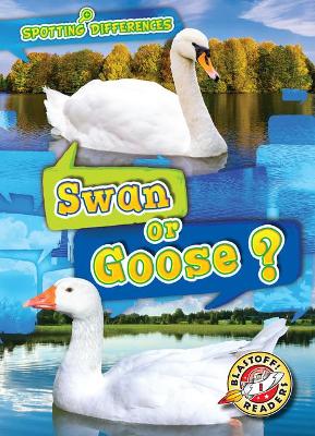 Swan or Goose? book