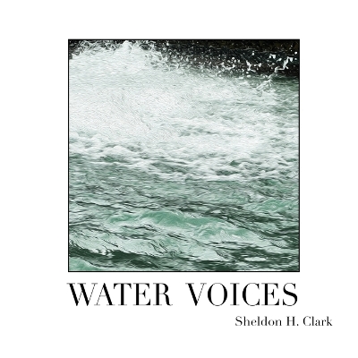 Water Voices book