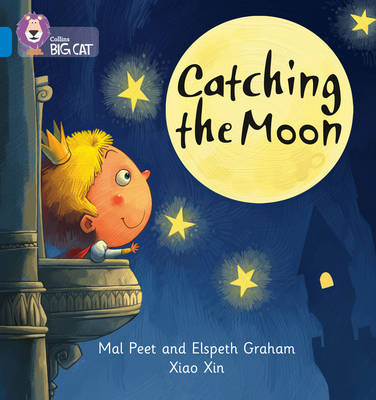 Catching the Moon book