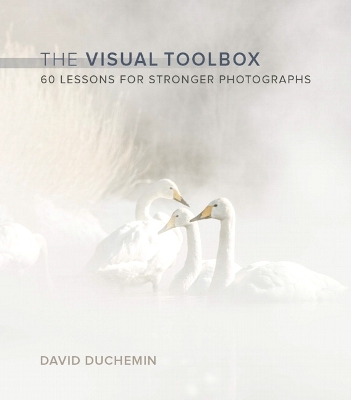 Visual Toolbox book